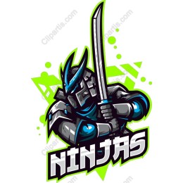 Dynamic Ninja