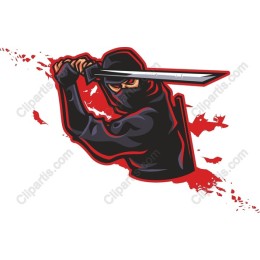 Ninja Warrior