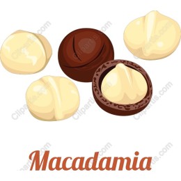Macadamia Nut Delight