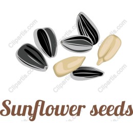 Sunflower Seeds