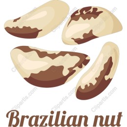 Brazilian Nut