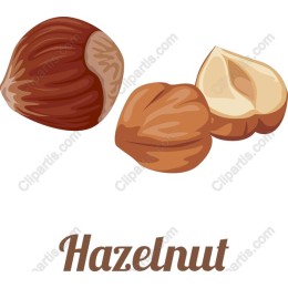 Hazelnut