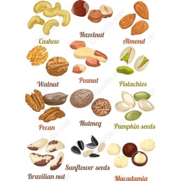 Versatile Nut and Seed