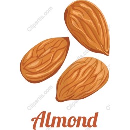 Almond