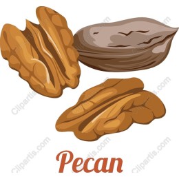 Pecan Delight