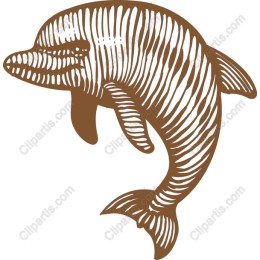 Hand-Drawn Dolphin