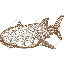 Whale Shark