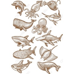 Vintage Marine Life Bundle