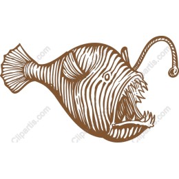 Anglerfish - Intricate Marine