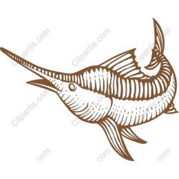 Swordfish