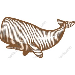 Sperm Whale Line Art