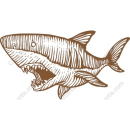 Ferocious Shark work