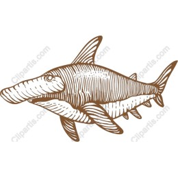 Stylized Shark