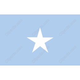 Minimalist White Star