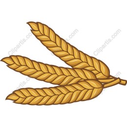 Wheat Ear