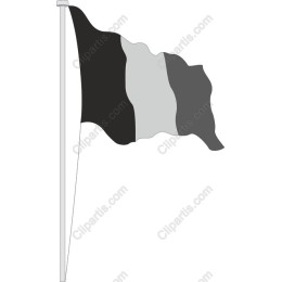 Tri-Color Flag