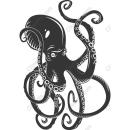 Majestic Octopus