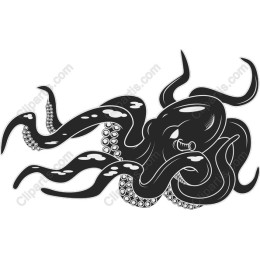 Stunning Black-and-White Octopus