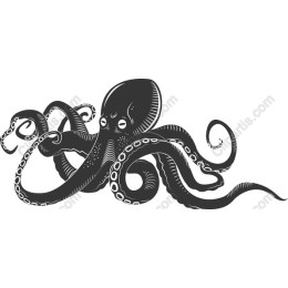Majestic Black-and-White Octopus