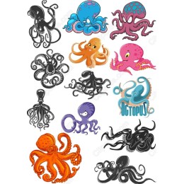 Octopus Bundle - 12 Playful