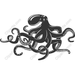 Premium Octopus