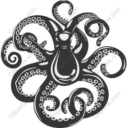 Elegant Octopus