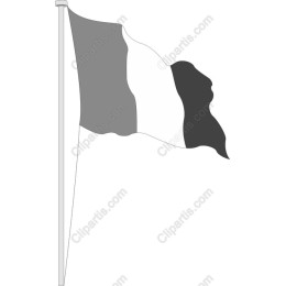 Elegant Flag