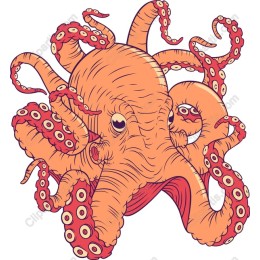 Vibrant Octopus