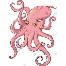 Playful Pink Octopus