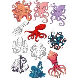 Octopus & Squid Bundle