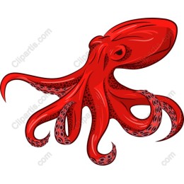 Red Octopus