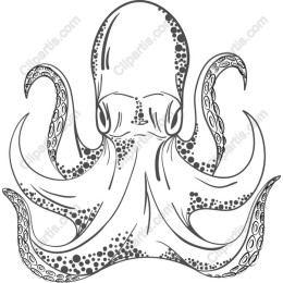 Intricate Octopus