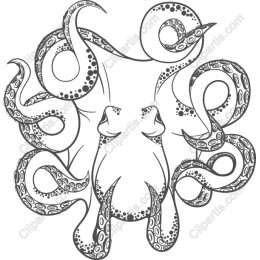 Intricate Octopus