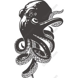 Octopus