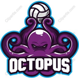 Fierce Octopus Volleyball