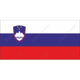 National Pride Flag