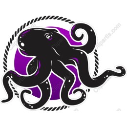 Bold Octopus