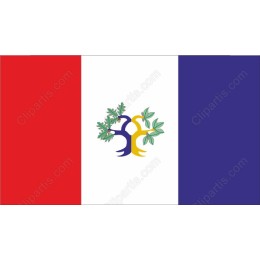 Flag-Inspired with Natural Motif