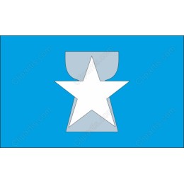 Sleek Star Award
