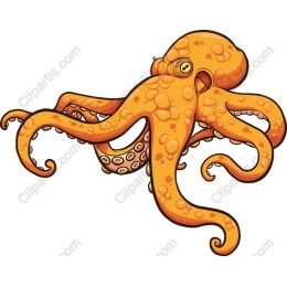Playful Orange Octopus