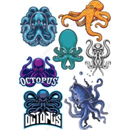 Octopus Collection - Bundle