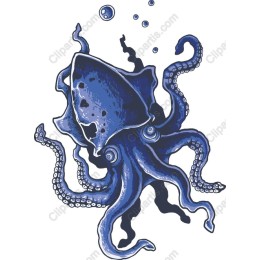 Majestic Octopus