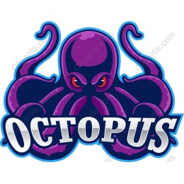 Vibrant Octopus