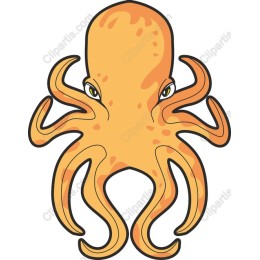 Vibrant Octopus
