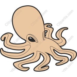 Charming Octopus
