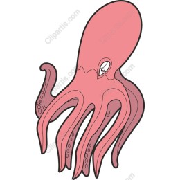 Vibrant Pink Octopus
