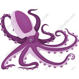 Vibrant Purple Octopus