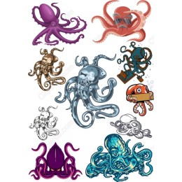 Vibrant Octopus Bundle