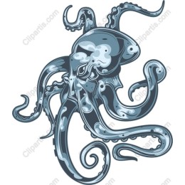 Captivating Octopus