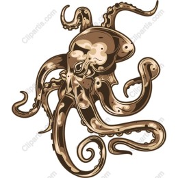 Vibrant Octopus